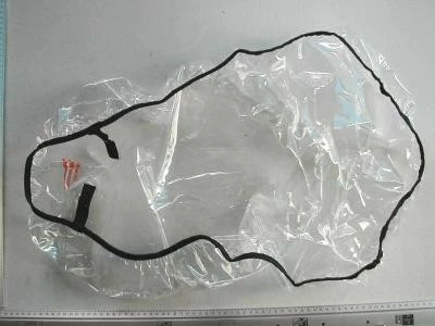 Thule Chariot Regenverdeck Corsaire1 2 Thule Chariot Regenverdeck Corsaire1 – Bild 2