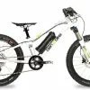 AMPERUM Ben-e-bike, TWENTY E-Power PRO, 20" Kinder E-Bike 2020
