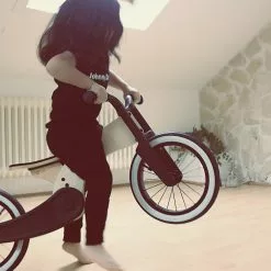 Wishbone Bike Cruise Laufrad -Croozer Verkäufe cruise jump gradeab0dc