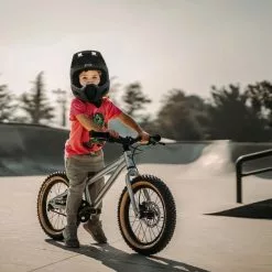 Early Rider, Hellion 16, MTB/Downhill Kinderrad 2023 -Croozer Verkäufe hellion16 gallery desktop1