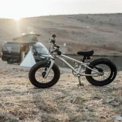 Early Rider, Seeker 14, Trail-Kinderrad 2023 -Croozer Verkäufe img 1837