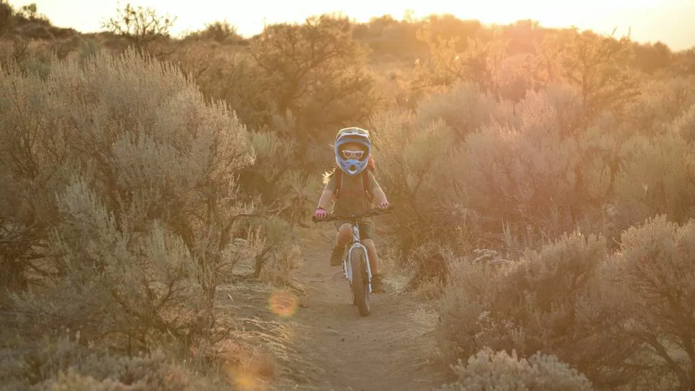 Early Rider, Seeker X16, Trail-Kinderrad 2023 7 Early Rider, Seeker X16, Trail-Kinderrad 2023 – Bild 7