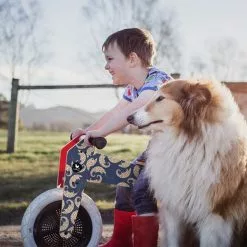 Wishbone Bike Limited Edition Pangolin – 3in1 Laufrad -Croozer Verkäufe wishbone pangolin laufrad lifestyle2