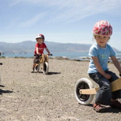 Wishbone Pre-Bike 2-in-1 Laufrad -Croozer Verkäufe 3 in 1 alle drei variantencb6d9