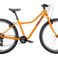 Naloo Chameleon 26 Zoll MK2 Kinderfahrrad