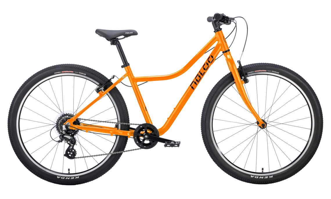 Naloo Chameleon 26 Zoll MK2 Kinderfahrrad 1 Naloo Chameleon 26 Zoll MK2 Kinderfahrrad