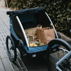 Thule Courier 2-sitziger Kinderanhänger -Croozer Verkäufe webimage ff16b5d8 5b4e 49bc 896eed0a093e8c47